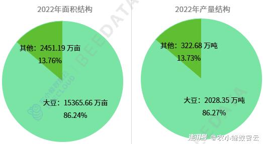 清洁球市场销路的深度分析与展望