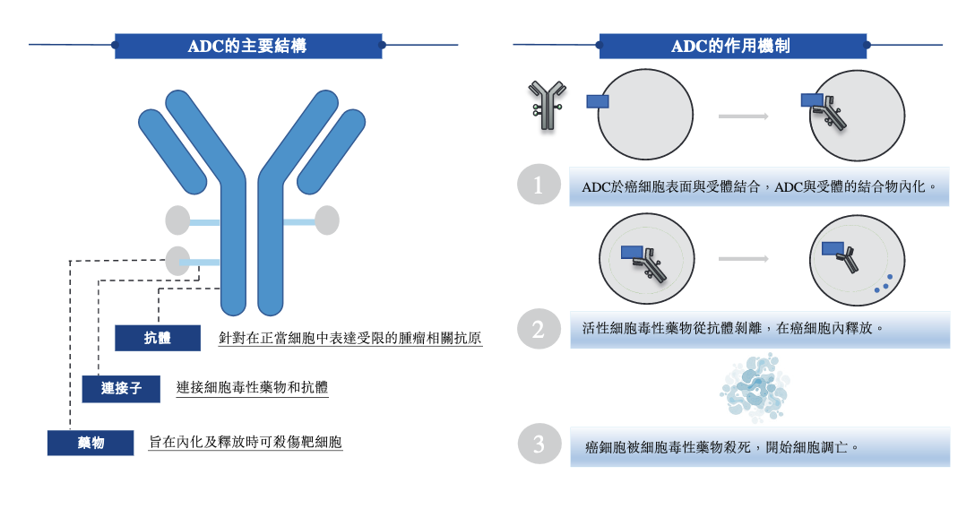 偶联剂偶联原理详解