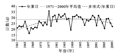 反光裤子的材质及其特性解析