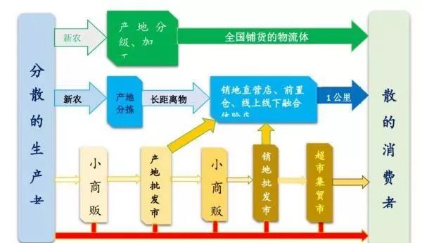 染料抗氧化剂，应用、作用机制及发展趋势