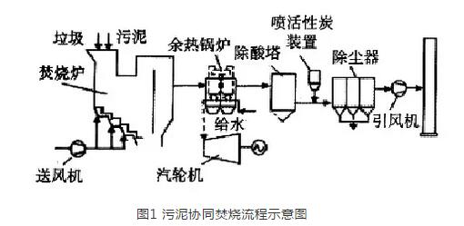 痛苦杀死我 第20页