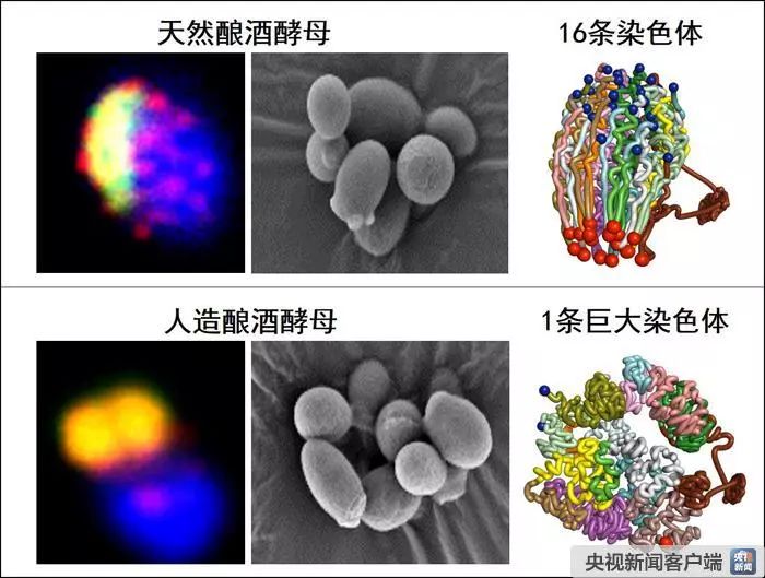 GPU托管 第264页