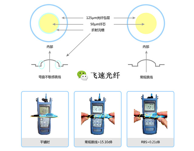 家电用塑料制品与海鲜检测机构之间的关系解析