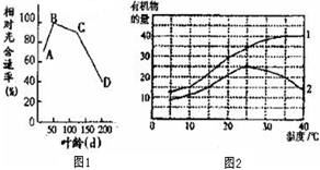 暗缝机与烯烃生产平台的关系探究