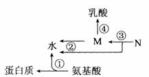 制备重氮化合物，方法与步骤详解