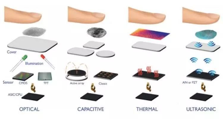 指纹识别传感器的工作原理，从生物识别技术到实际应用