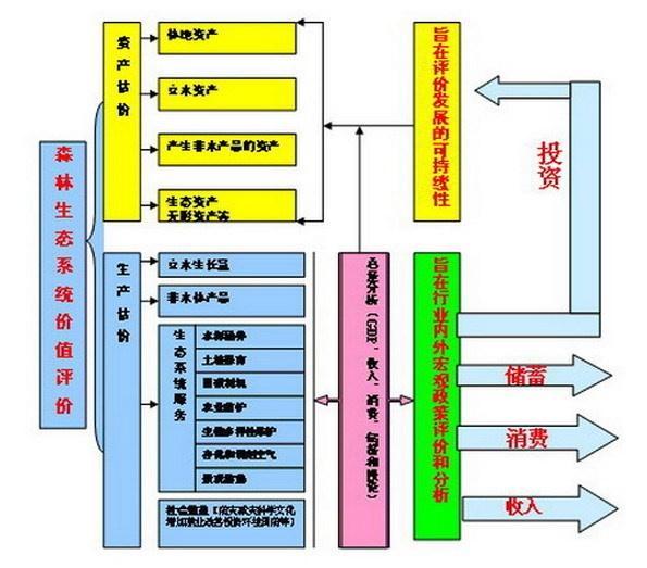 液体有机质，定义、特性及其在生态系统中的作用