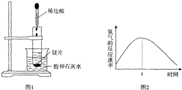 盛水器具，从古至今的重要角色与多样形态