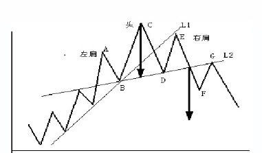 绒毛玩具、柔光灯与环形灯，三者之间的区别与特性解析