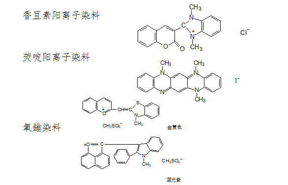 不堪一击 第19页