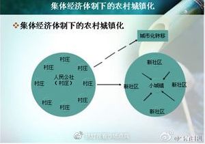 水准仪安置地的理想位置，关键要素与操作指南