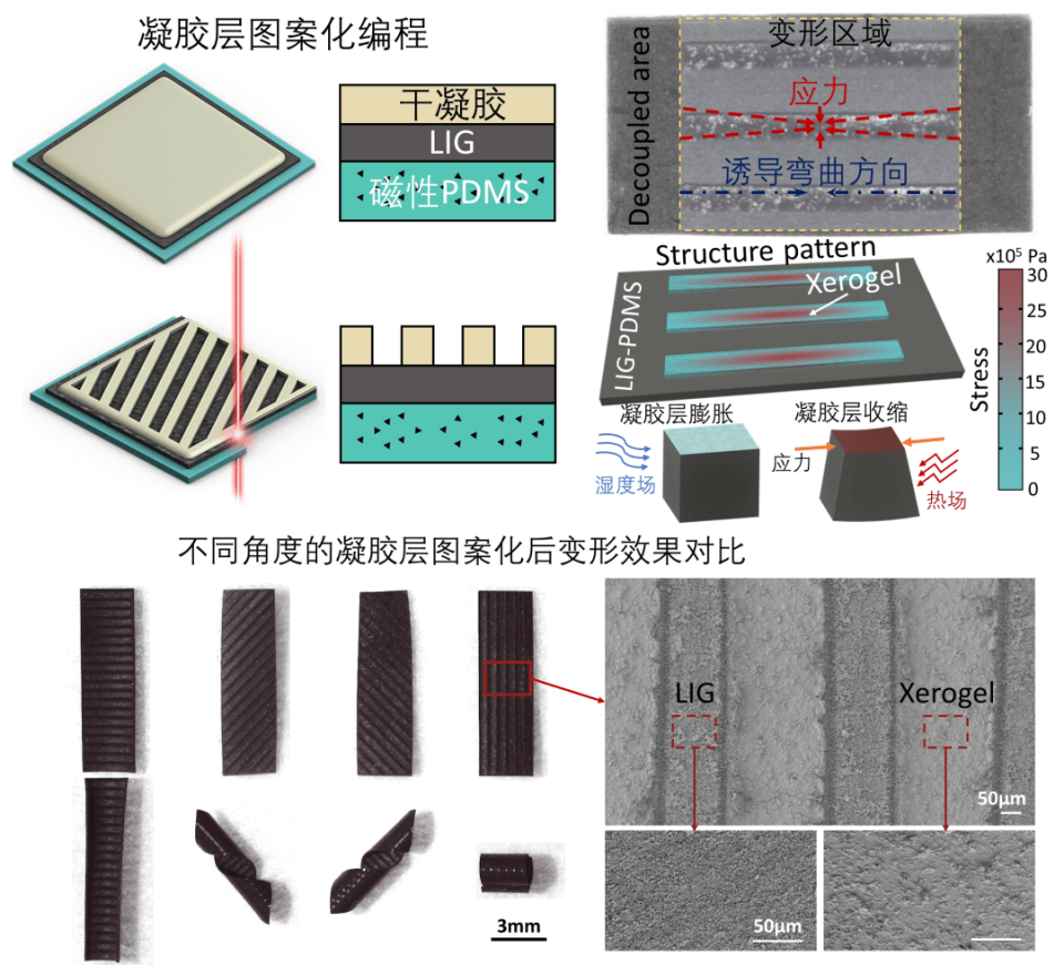 橡胶电热板，性能特点与应用领域探讨