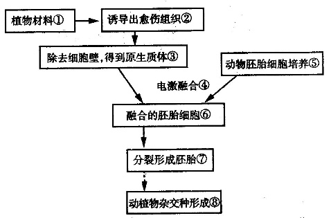 Labotect二氧化碳检测仪，性能特点与应用解析