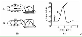 电位差计，测量电位的精密工具