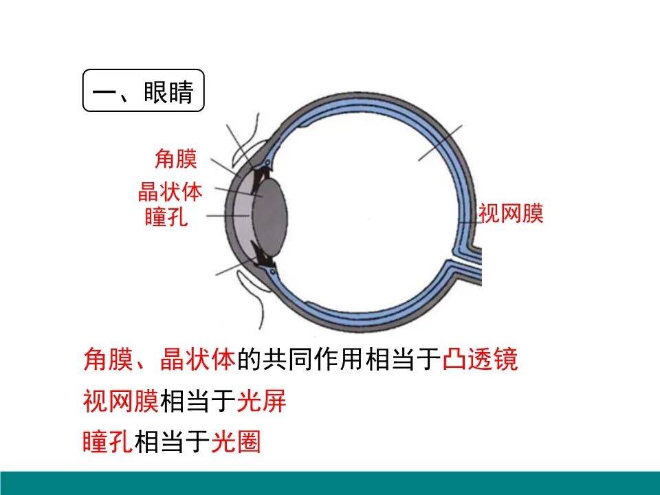 千分尺的归属类别及其应用领域