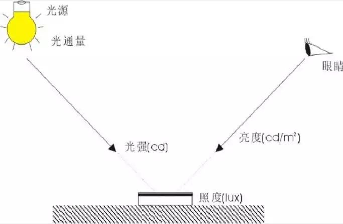 2024年12月3日 第16页