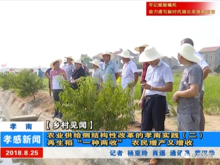 种子药剂处理，农业生产的必要环节