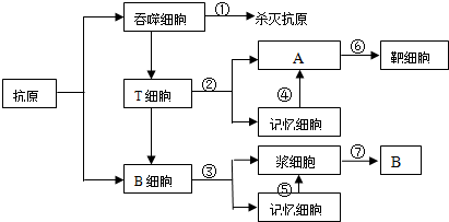 水封的物质，其构成与重要性