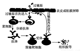 制造涡流，探索现象背后的科学原理