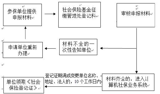 肠衣使用指南，从选购到应用的全流程解析