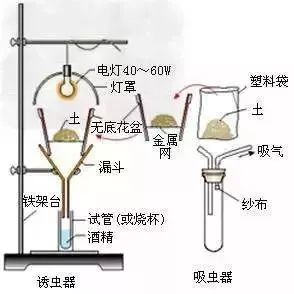 霍尔式传感器振动测量实验原理