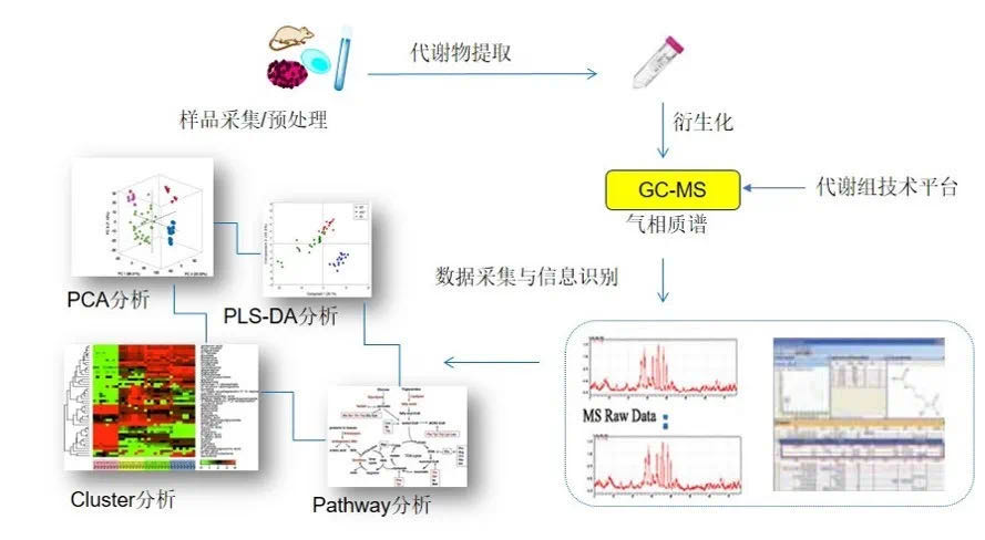 隔振技术的原理及其实际应用