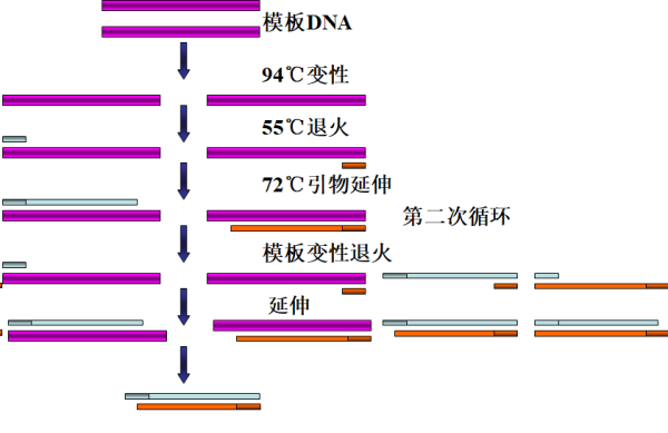 绝缘聚合度，概念、应用与重要性,战略方案优化_特供款48.97.87