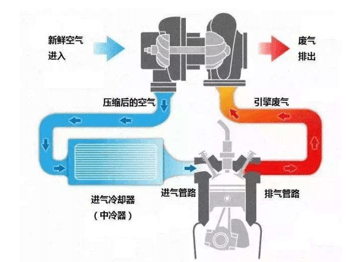 做皮带的机器，技术原理、应用与未来发展,专业解析评估_精英版39.42.55