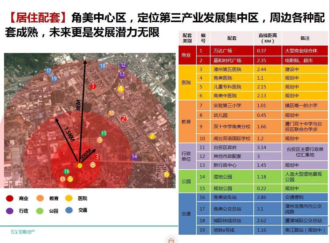 鞋花最新款，时尚潮流的璀璨点缀,定性分析解释定义_豪华版97.73.83