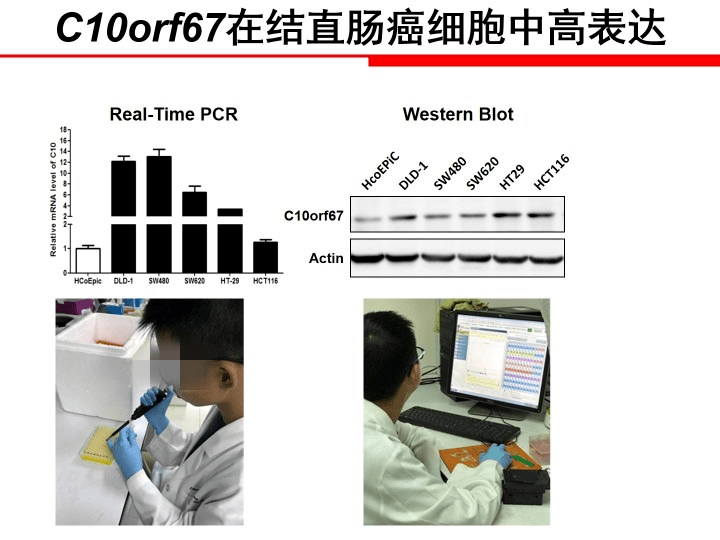 攀登装置与X光片，二者的关系及其重要性,专业解析评估_精英版39.42.55