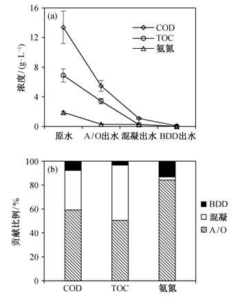 2024年12月16日 第25页