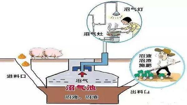 2024年12月18日 第9页