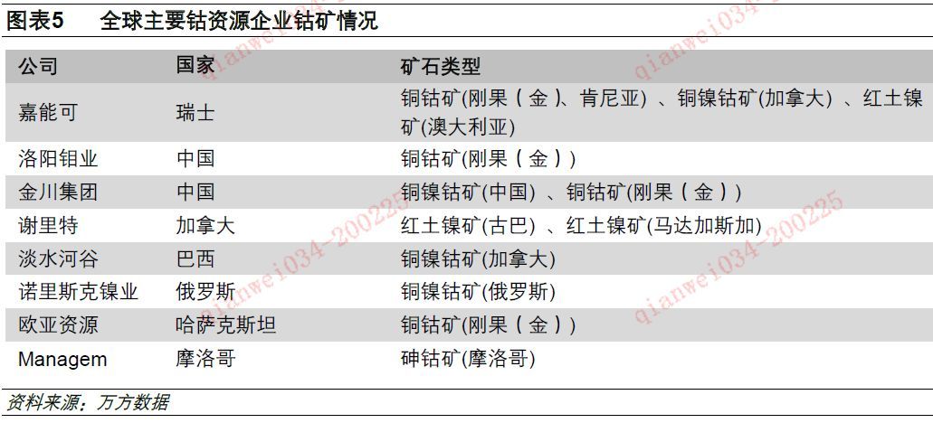 电气石矿床，一种珍贵的矿物资源及其地质特征,专业说明评估_iShop38.92.42