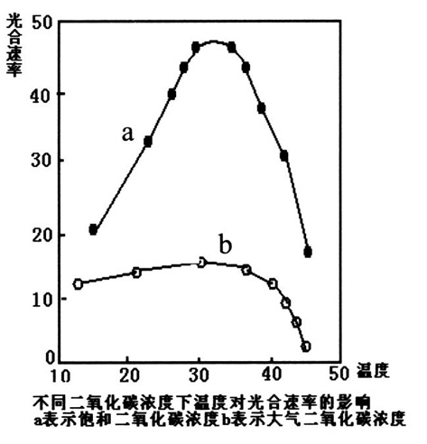 润滑油温度对润滑油特性的影响及粘温曲线的绘制方法,精细设计解析_入门版15.81.23