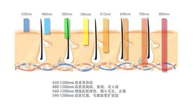 碳刷、电刷与水晶图片，三者的关系与区别,科学研究解析说明_AP92.61.27