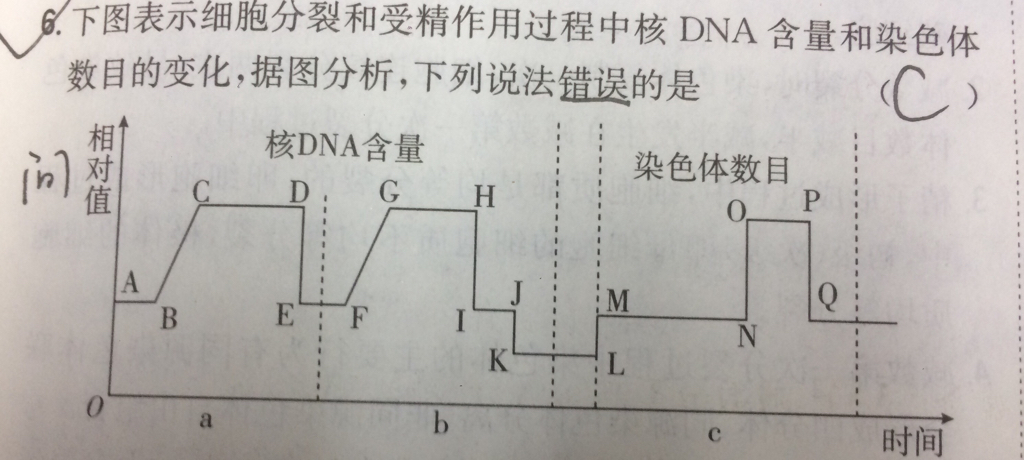 纺织波谱图的图解及其相关解析,定性分析解释定义_豪华版97.73.83