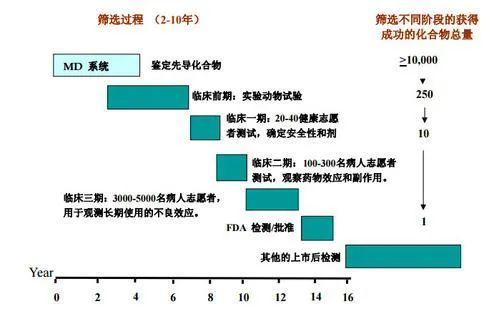 宠物食品市场前景展望,科学研究解析说明_AP92.61.27