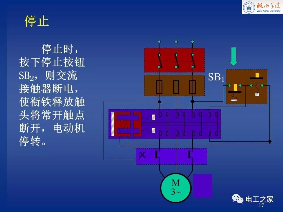 继电器和保护板，电气系统中的核心组件与功能解析,安全解析策略_S11.58.76