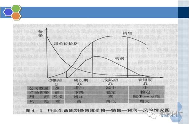 镜头与松木财积，两者之间的深度对比,高效分析说明_Harmony79.46.34