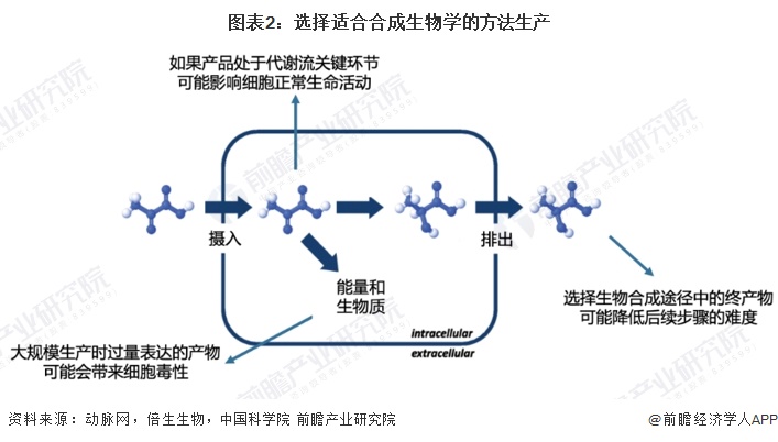 制动液与软件设计与制作的区别,整体规划执行讲解_复古款25.57.67