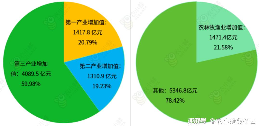 海南锆钛矿，资源概述与产业前景展望,全面应用数据分析_挑战款69.73.21