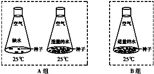 水分仪的组成及其工作原理,专业解析评估_精英版39.42.55