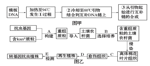 电离辐射计量单位,功能性操作方案制定_Executive99.66.67