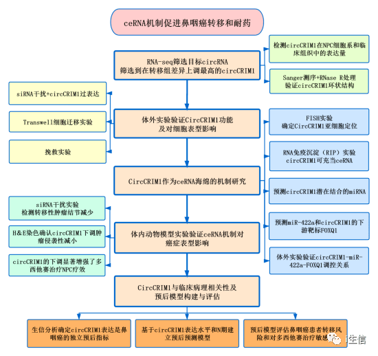 选矿剂成分及其应用分析,精细解析评估_UHD版24.24.68