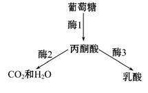 市场调研与过滤器原材料分析,理论分析解析说明_定制版43.728