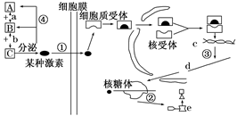 反应器和效应器，理解其在生物系统与工程应用中的核心功能,定性分析解释定义_豪华版97.73.83