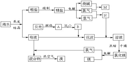 聚乙烯解聚反应，过程、机制与应用,定量分析解释定义_复古版94.32.55