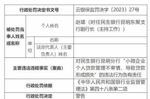 背包高仿背后的犯罪问题探究,精细评估解析_2D41.11.32