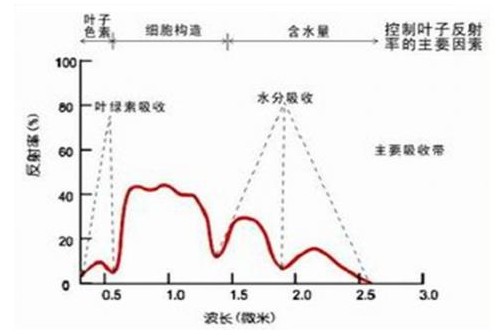 光谱相机与普通相机，技术差异与应用领域对比,高效分析说明_Harmony79.46.34