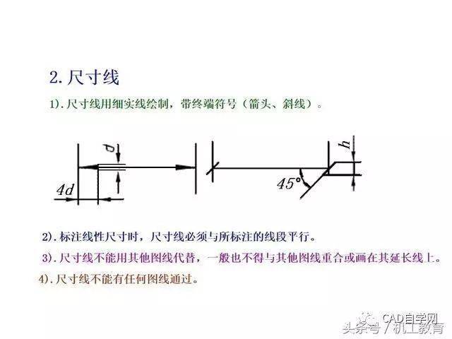 2024年12月22日 第8页